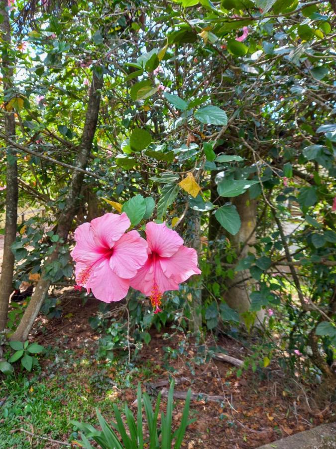 Pousada Recanto Alegre Campestre Exterior photo
